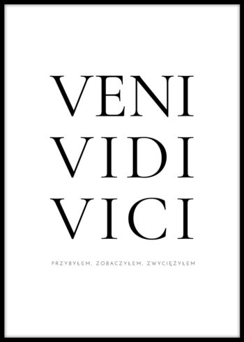Plakat motywacyjny - Veni Vidi Vici