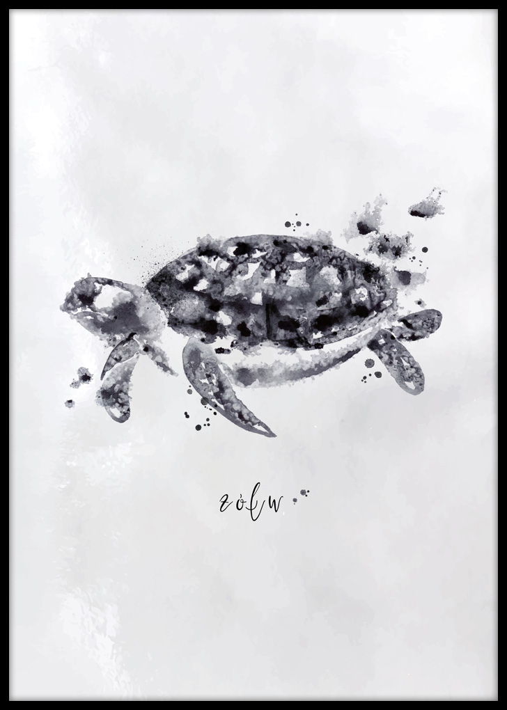 Żółw - plakat do sypialni